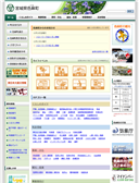 2015年10月17日