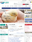 2020年12月11日